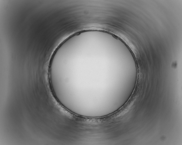 X0000097650901200803211853