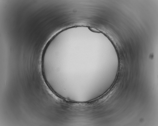 X0000097650902200803211853