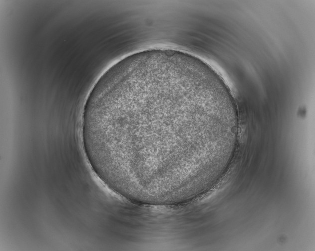 X0000097650903200803211853