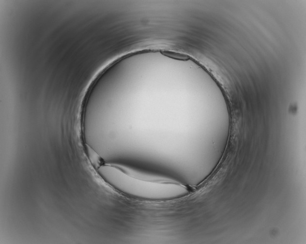 X0000097650904200803211853