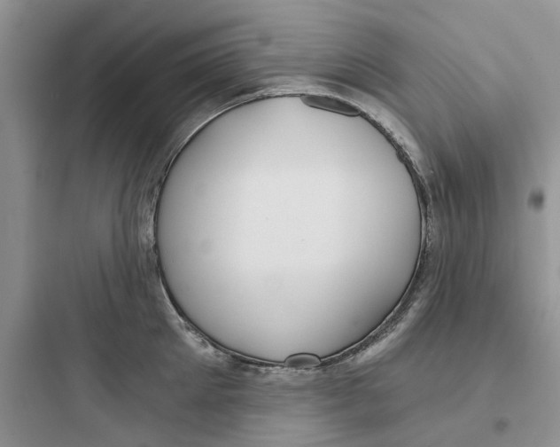 X0000097650905200803211853