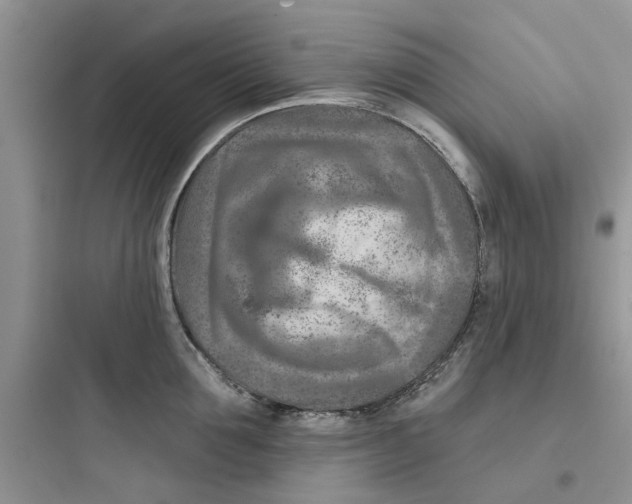 X0000097650907200803211853