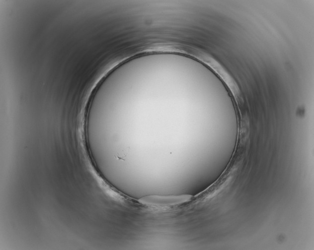 X0000097650909200803211853