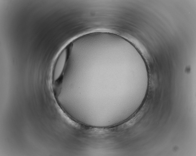 X0000097650910200803211853