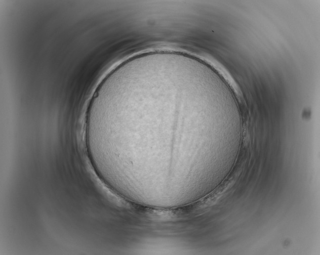 X0000097650911200803211853