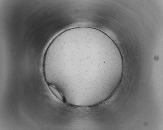 X0000097650912200803211853