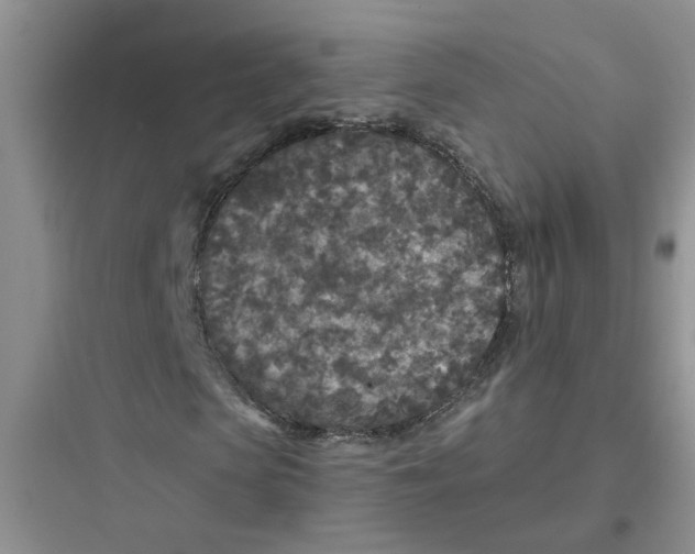 X0000097650913200803211852