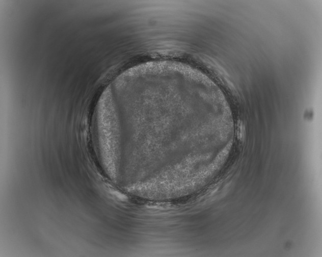 X0000097650915200803211852