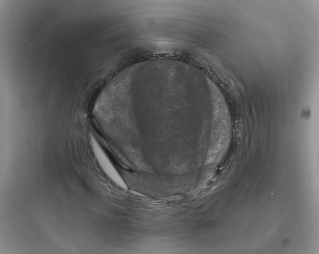 X0000097650916200803211852