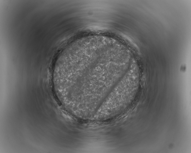 X0000097650917200803211852