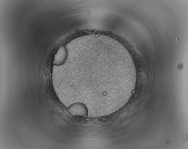 X0000097650918200803211852