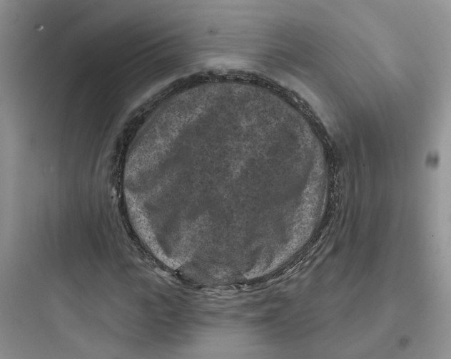 X0000097650919200803211852