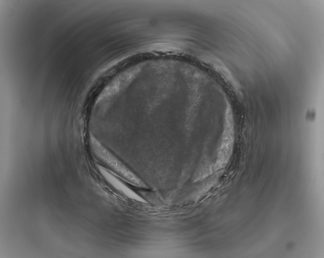 X0000097650920200803211852