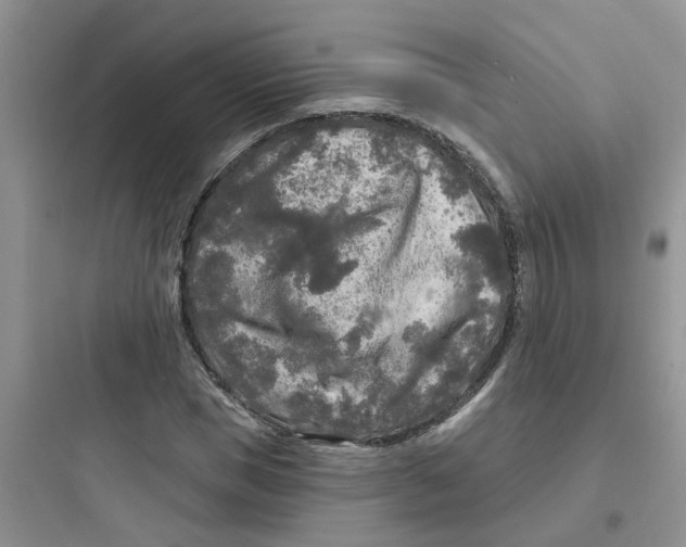 X0000097650921200803211852