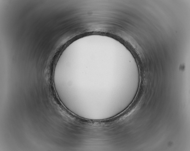 X0000097650922200803211852