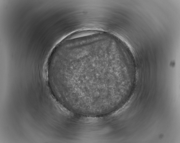 X0000097650925200803211852