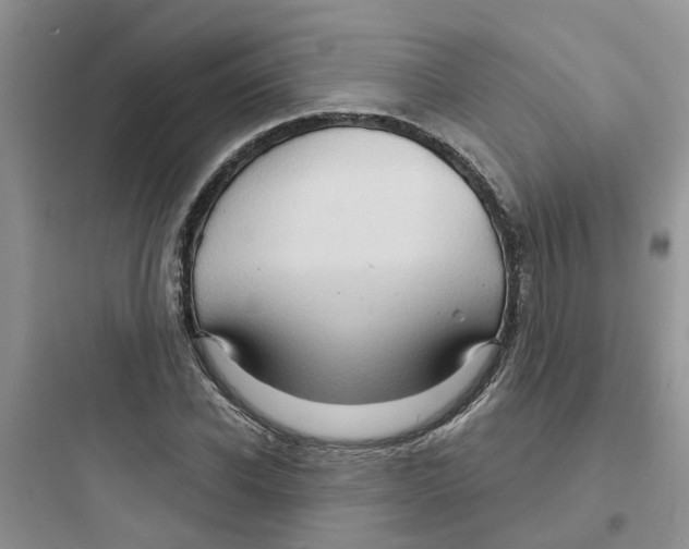 X0000097650926200803211852