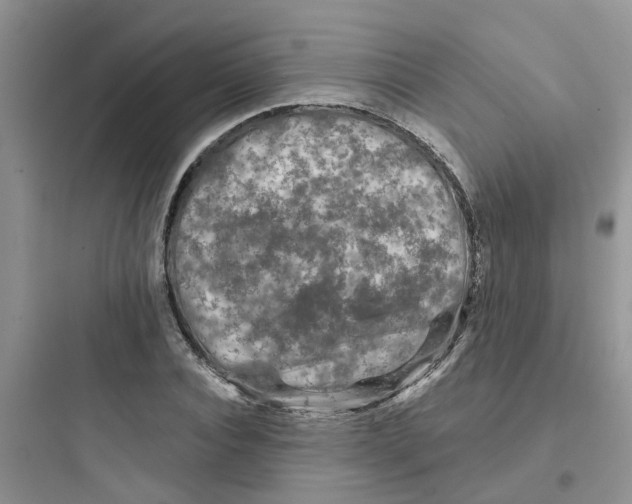 X0000097650928200803211852