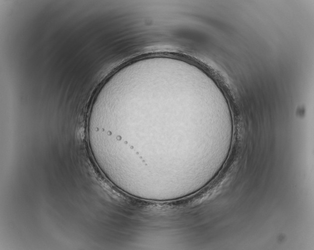 X0000097650929200803211852