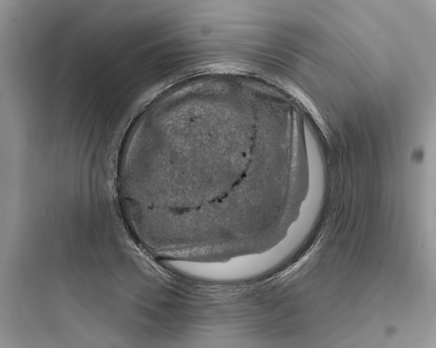 X0000097650930200803211852