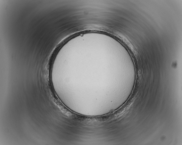 X0000097650931200803211852