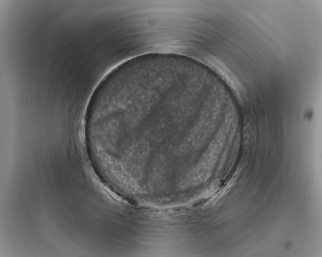 X0000097650932200803211852