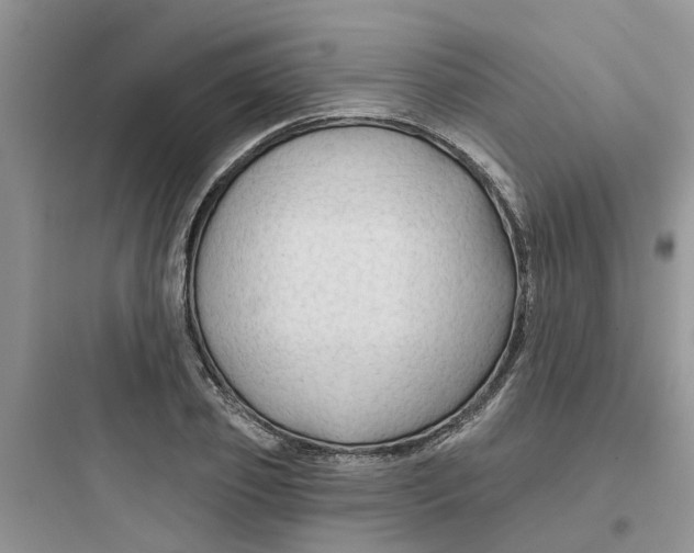 X0000097650933200803211852