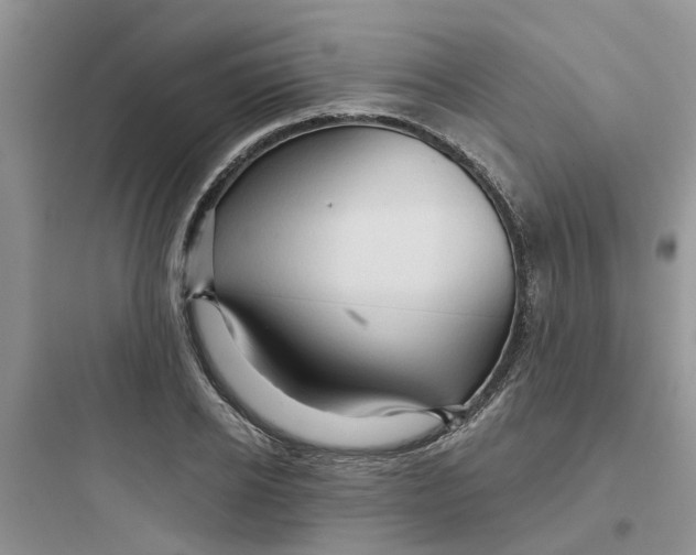 X0000097650934200803211852