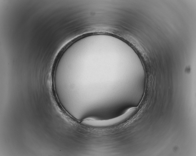 X0000097650936200803211852