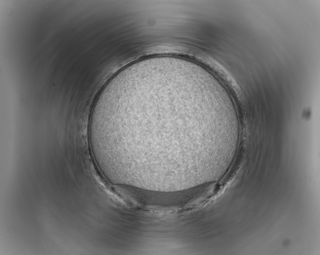 X0000097650937200803211852