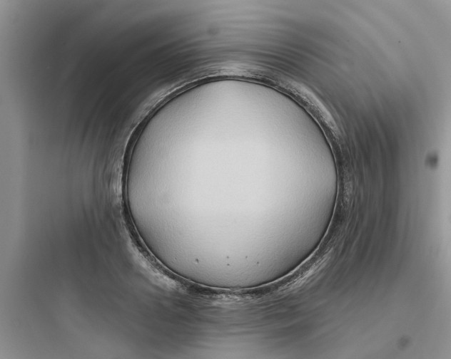 X0000097650938200803211852