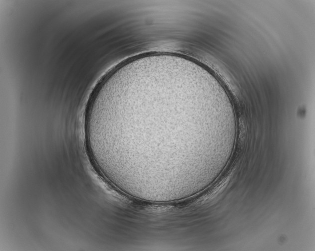 X0000097650939200803211852