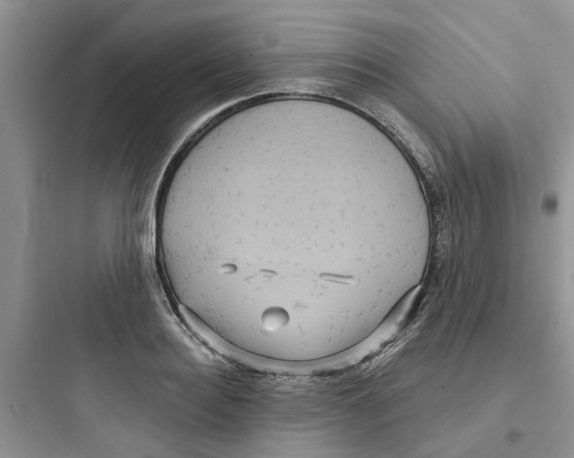 X0000097650940200803211852