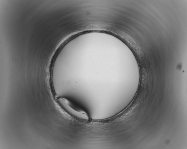 X0000097650942200803211853