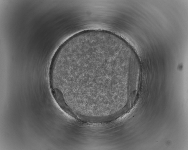 X0000097650943200803211853