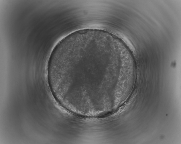 X0000097650944200803211853