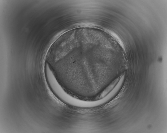 X0000097650946200803211853