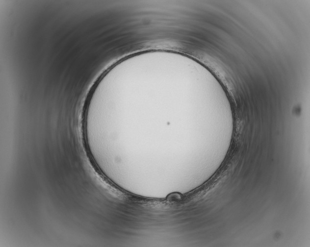 X0000097650947200803211853