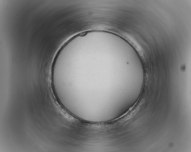 X0000097650948200803211853