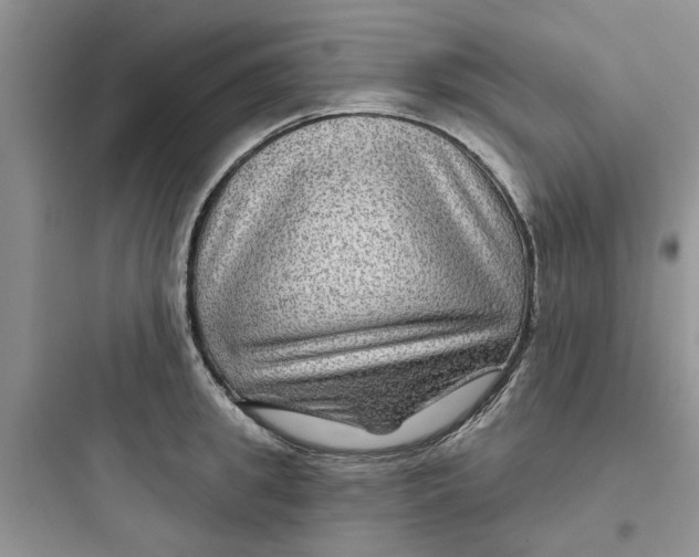 X0000097650949200803211853