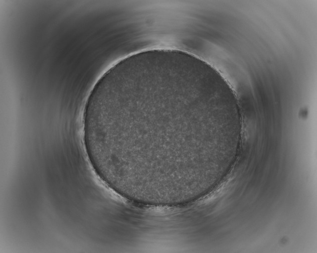 X0000097650950200803211853