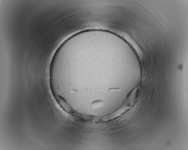 X0000097650951200803211853