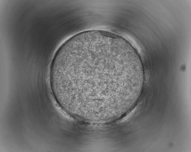 X0000097650952200803211853