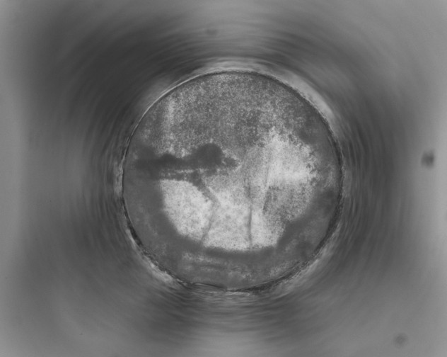 X0000097650953200803211853