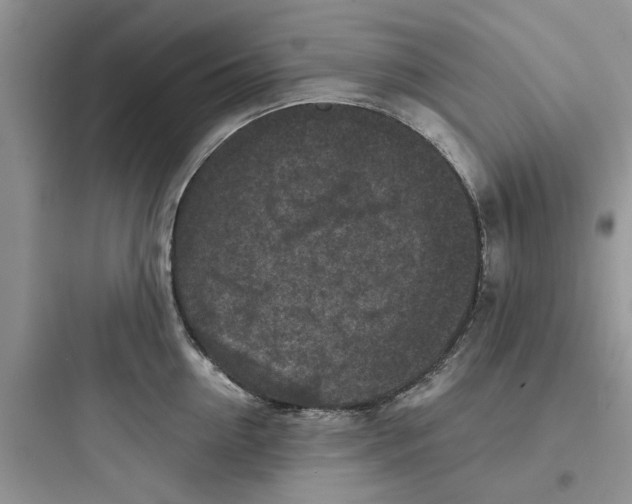 X0000097650954200803211853