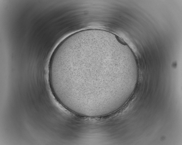 X0000097650955200803211853