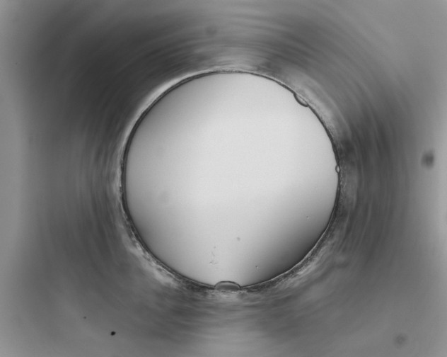 X0000097650956200803211853