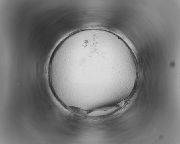 X0000097650957200803211853