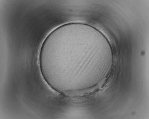 X0000097650959200803211853