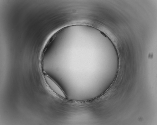 X0000097650960200803211853